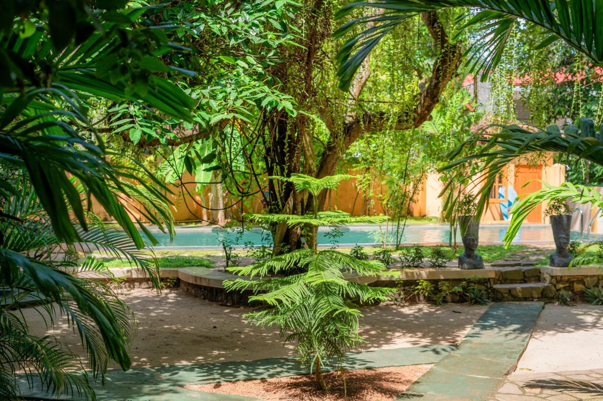 Monkey Villa Hikkaduwa Exterior foto